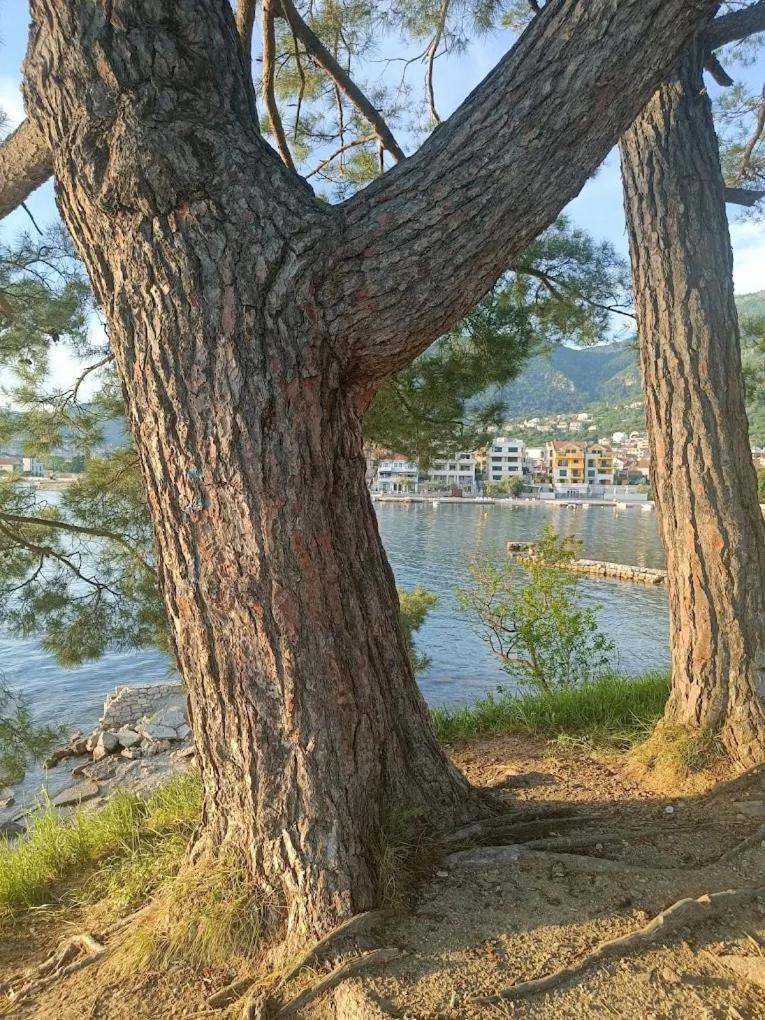 Apartamento Tondo Tivat Exterior foto